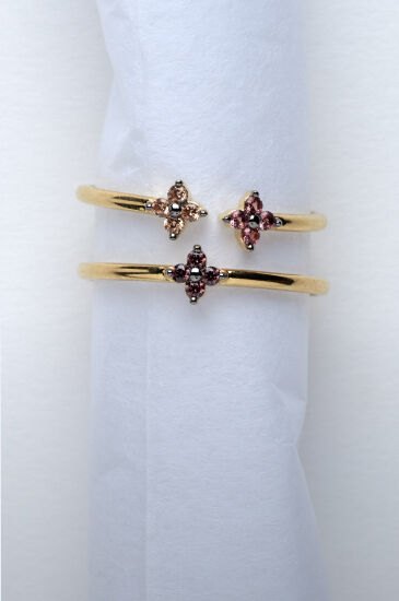 ANILLOS[[DESCUBRIR]]