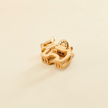 Accesorio pelo ACCESORIOS PELO - Dorado - Joyas  | Agatha