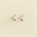 Criollas IMPERIAL - Cristal / Plateado - Pendientes  | Agatha