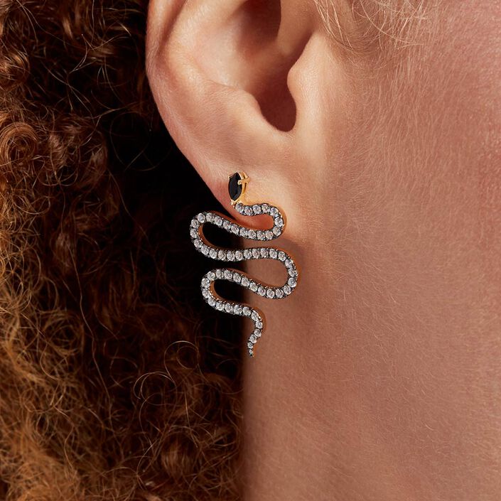 Pendientes largos SNAKY - Cristal / Gris - Pendientes  | Agatha