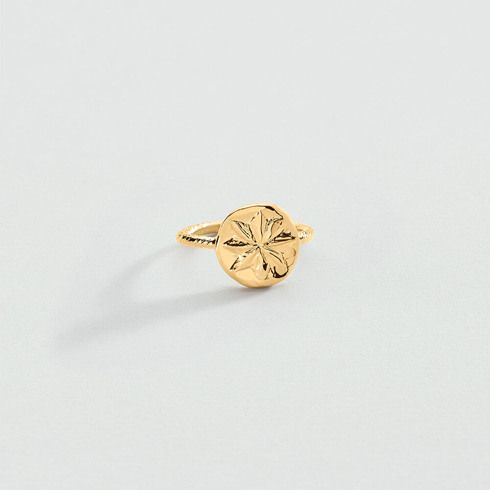 Anillo fino PONT DES ARTS - Dorado - Anillos  | Agatha