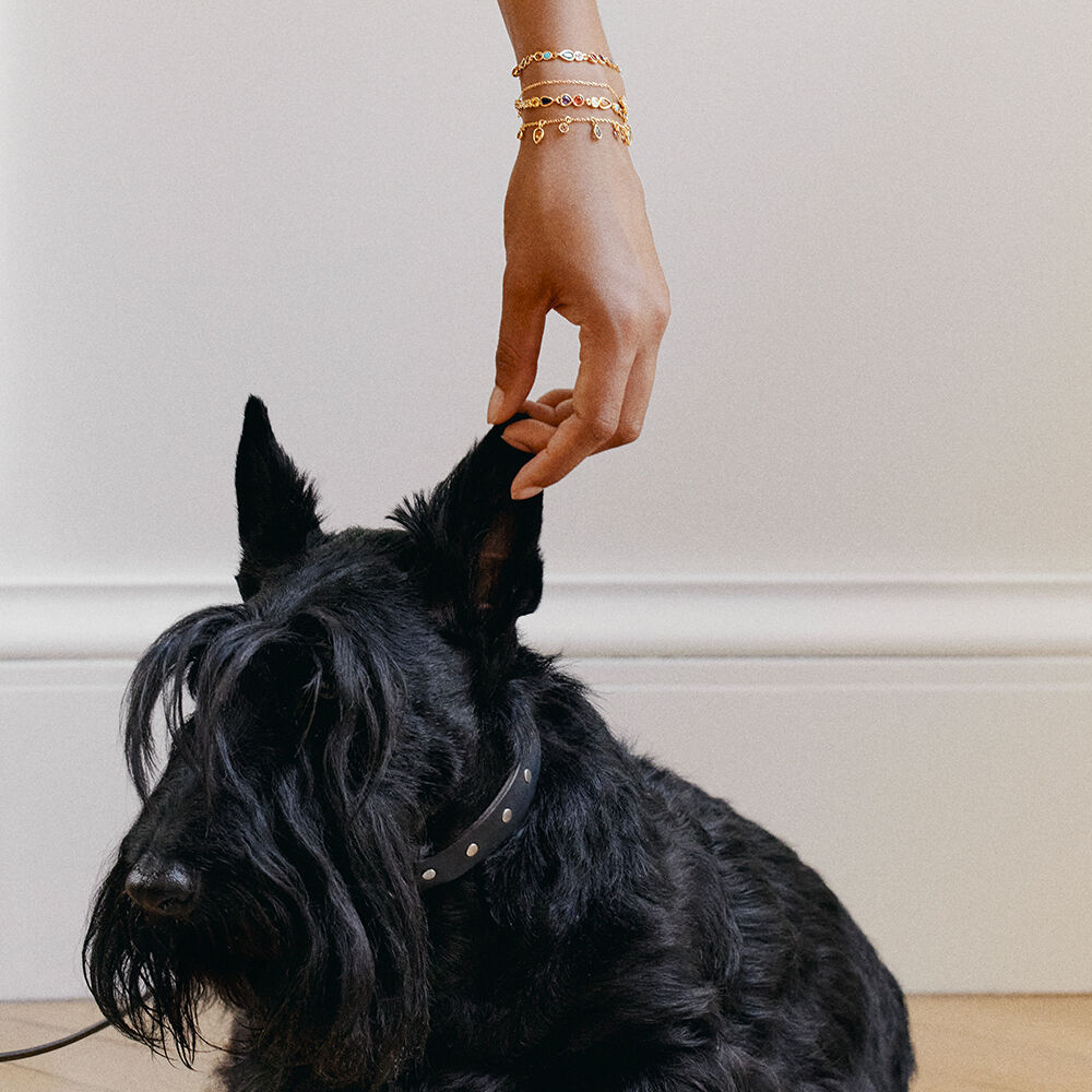 Pulsera de cadena CANDY - Multicolor / Oro - Pulsera de cadena  | Agatha