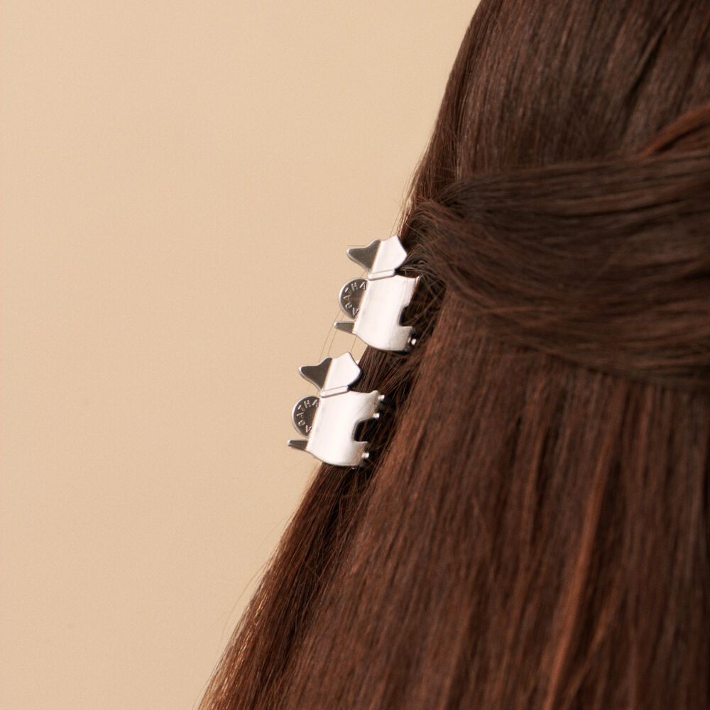 Accesorio pelo ACCESORIOS PELO - Plateado - Accesorios joyas  | Agatha