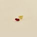 Piercing mini LIPS - Rojo / Oro - Piercings  | Agatha