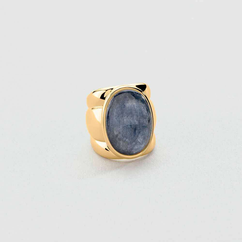 Anillo ancho LA RIVIERA - Azul / Oro - Anillo ancho  | Agatha