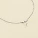 Collar corto DRAGONFLY - Plateado - Collares  | Agatha