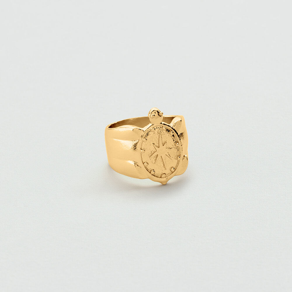 Anillo ancho TORTUGA PANGEA - Dorado - Anillo ancho  | Agatha