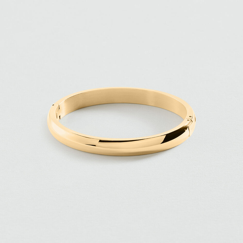 Pulsera r&iacute;gida LEO - Dorado - Pulsera r&iacute;gida  | Agatha