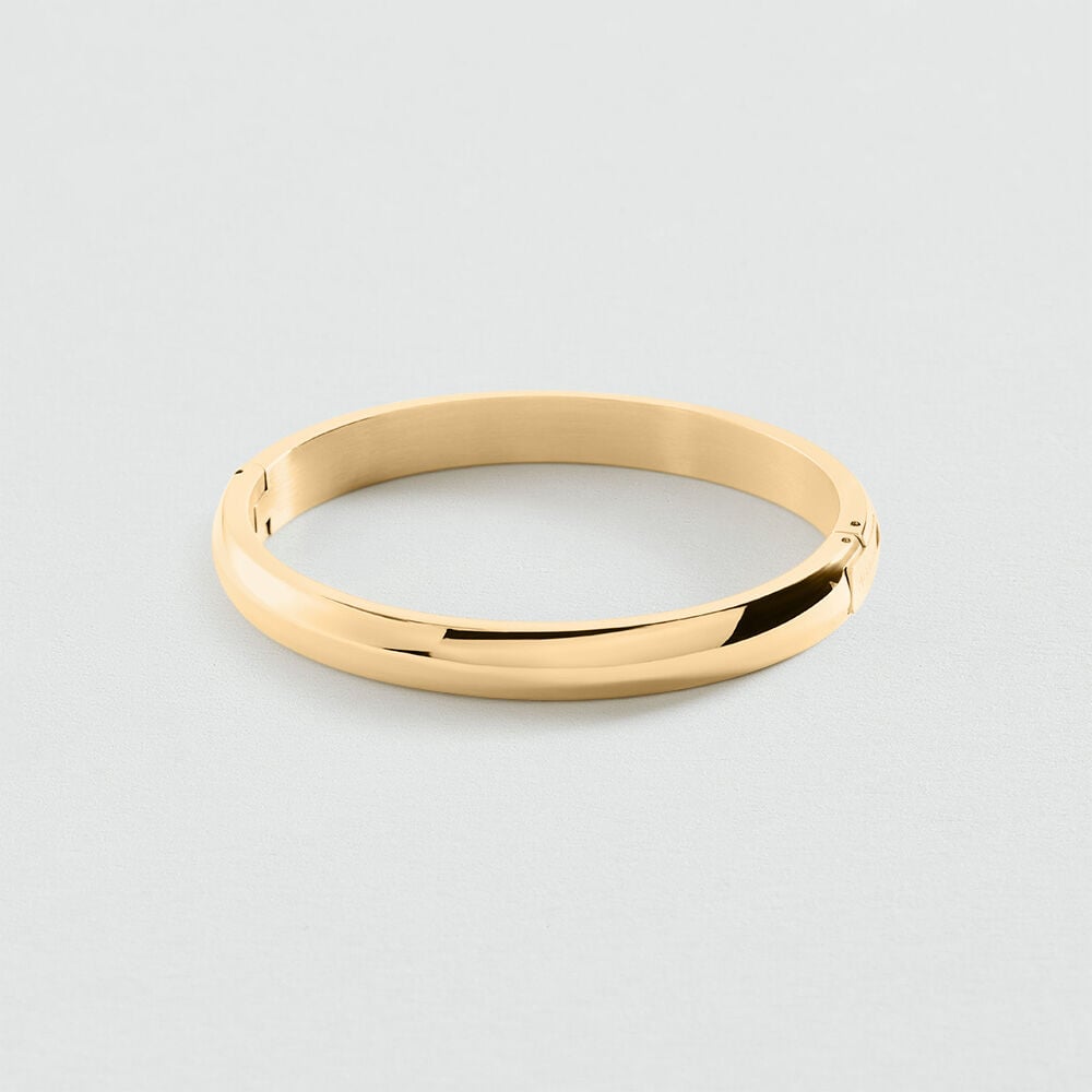 Pulsera r&iacute;gida LEO - Dorado - Pulsera r&iacute;gida  | Agatha