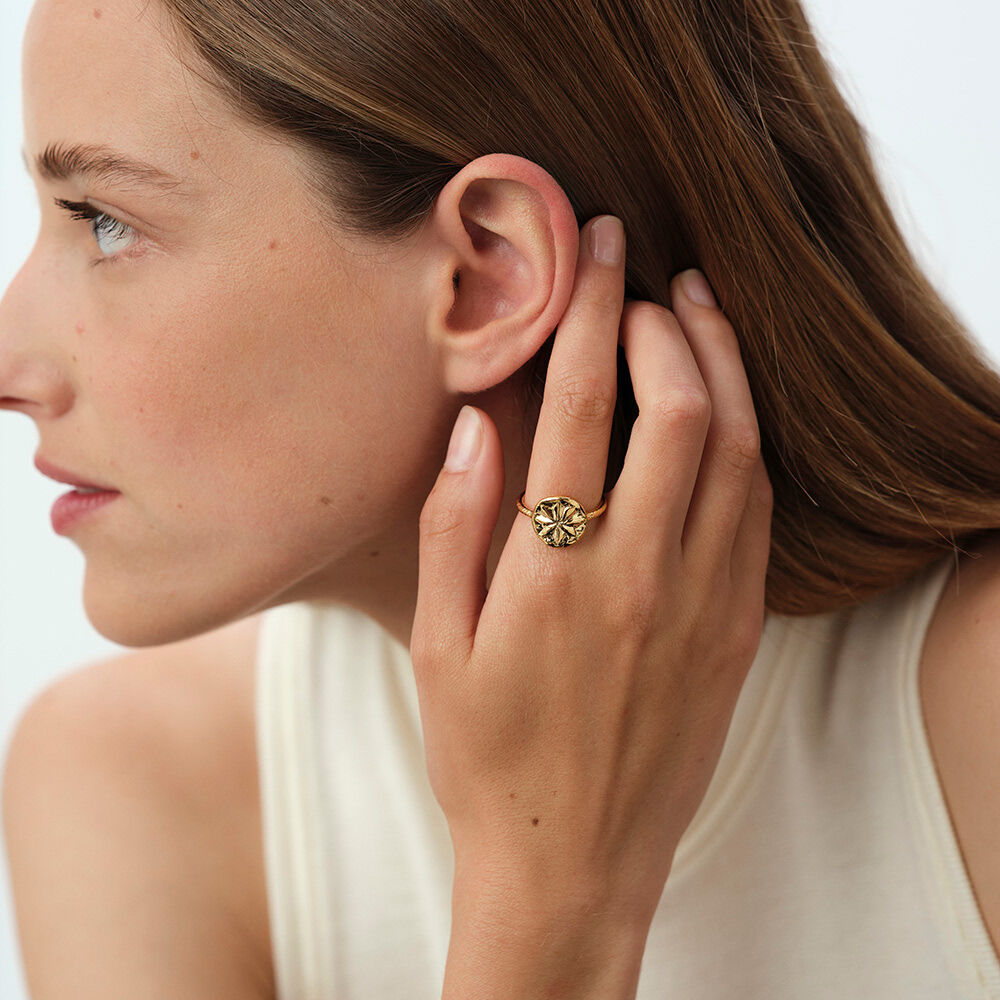 Anillo fino PONT DES ARTS - Dorado - Anillos  | Agatha