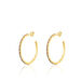 Criollas RAINBOWS - Multicolor / Oro - Pendientes  | Agatha