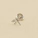 Piercing mini LIBELULA - Cristal / Plateado - Piercings  | Agatha